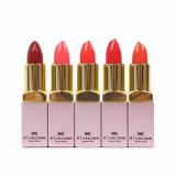 RIVECOWE Chiffon Lipstick 3g_ 5 Colors_ Matte_ long_lasting